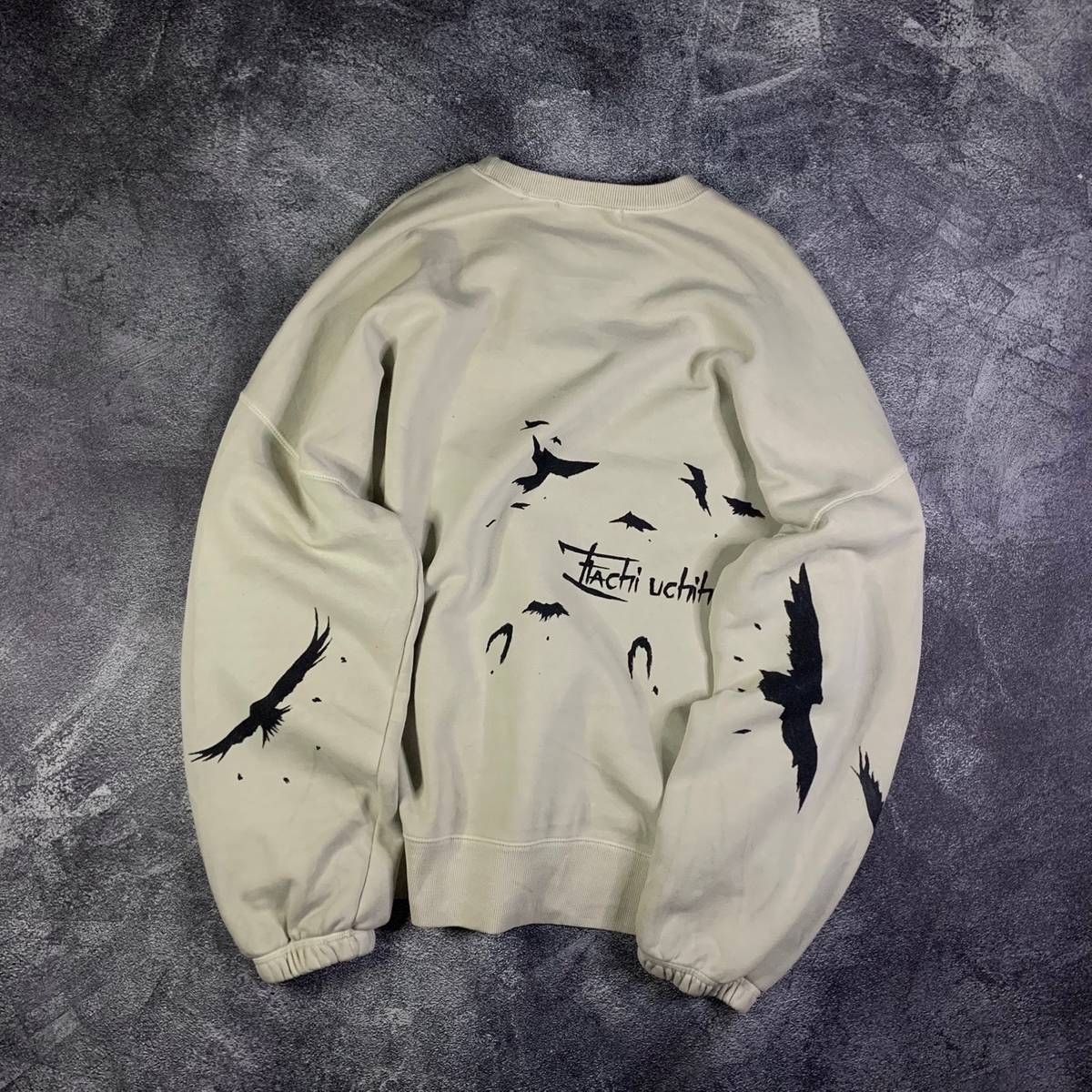 İatchi Sweatshirt - アキラ